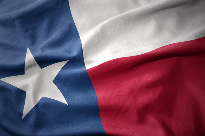 1/28/2021 • Texas • New Public Dual Language Program to Meet High Demand